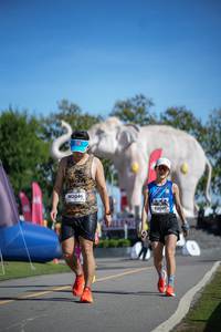 BIB: 
                            <button type="button" onclick="openModal(26542131)" class="btn btn-primary btn-sm float-right btn-popup" data-toggle="modal" data-target=".modal-high-quality">
                        <i class="fas fa-shopping-cart"></i> Add to Cart
                    </button>
                                            <button type="button" onclick="isThisMe(26542131, true)" class="btn btn-success btn-sm float-right btn-popup btn-isme hidden" data-toggle="tooltip" data-placement="bottom" title="นี่คือรูปของคุณใช่ไหม คลิกที่นี่เพื่อเอาเข้าอัลบั้ม">
                        <i class="fas fa-plus"></i> Add to album
                    </button>
                    <button type="button" onclick="isThisMe(26542131, false)" class="btn btn-warning btn-sm float-right btn-popup btn-isnotme hidden">
                        <i class="fas fa-ban"></i> Remove from album
                    </button>